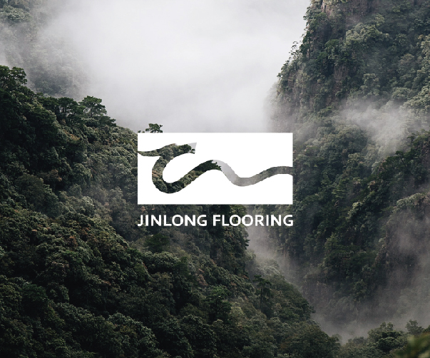 品牌視覺設計_突破創意_塑造獨特品牌形象